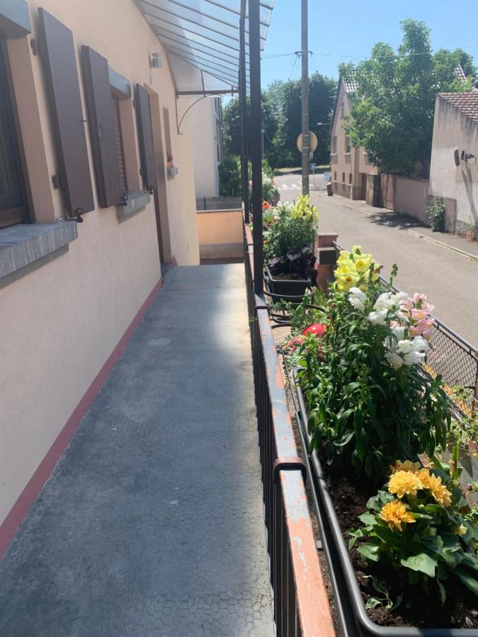 Chez Georges Et Rosa Villa Ingersheim Exterior photo